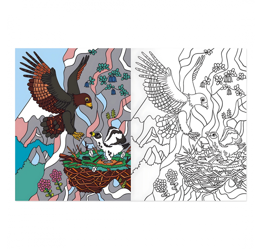Coloriages : À la Montagne | Edunova Maroc