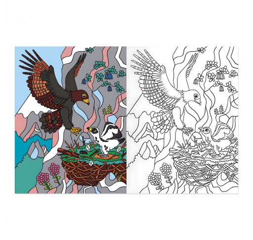 Coloriages : À la Montagne | Edunova Maroc