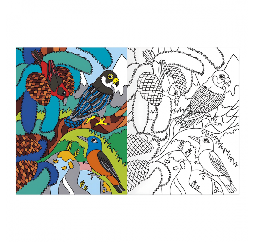 Coloriages : À la Montagne | Edunova Maroc
