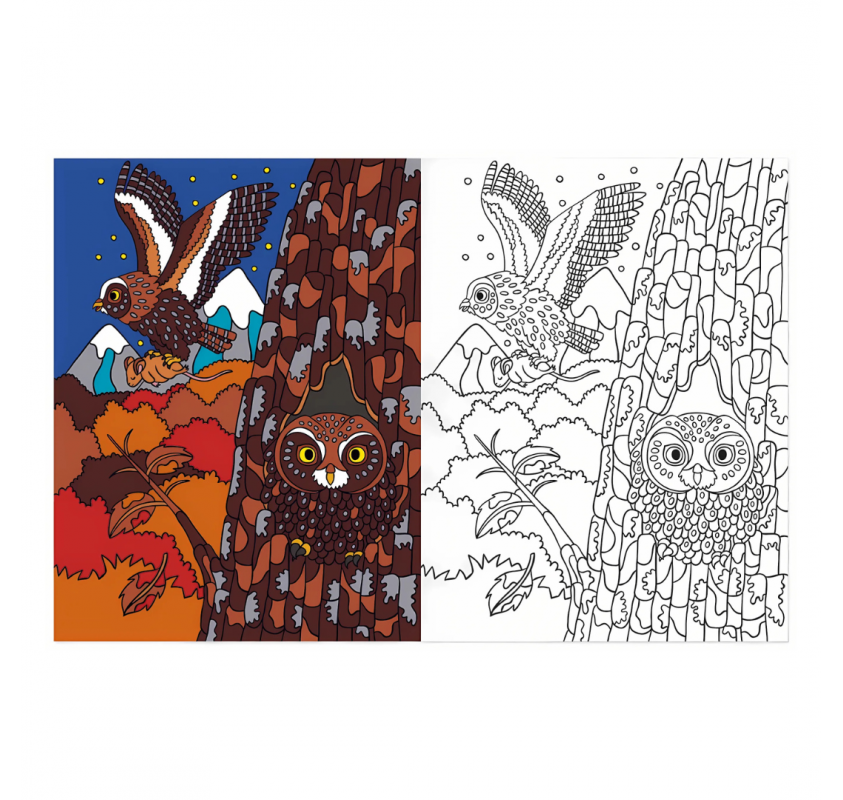Coloriages : À la Montagne | Edunova Maroc