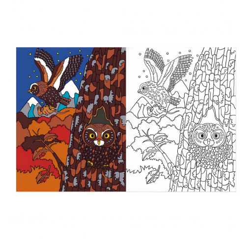 Coloriages : À la Montagne | Edunova Maroc