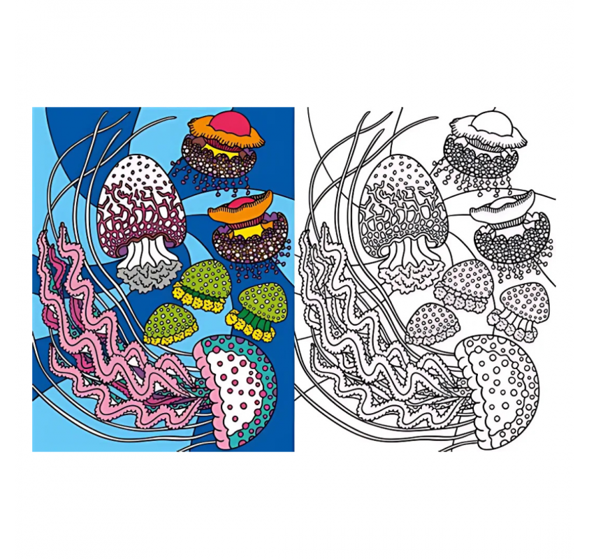Coloriages : les Animaux de la Mer | Edunova Maroc