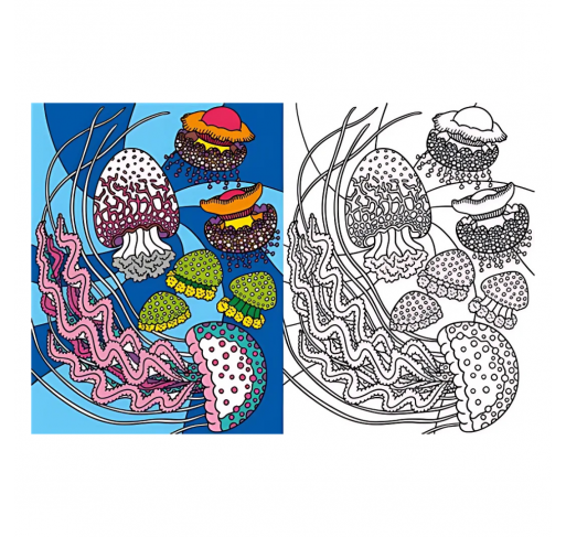 Coloriages : les Animaux de la Mer | Edunova Maroc