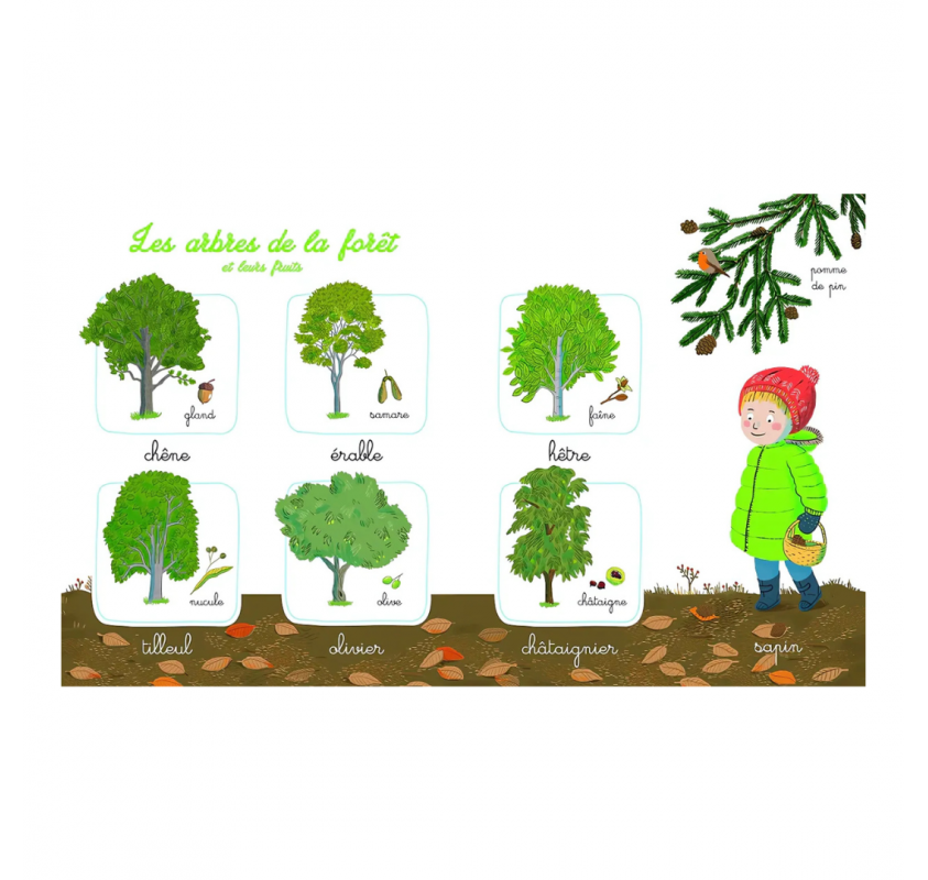 Mon Imagier de la Nature Montessori | Edunova Maroc