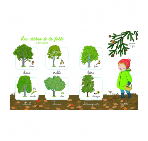 Mon Imagier de la Nature Montessori | Edunova Maroc