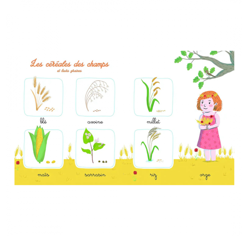 Mon Imagier de la Nature Montessori | Edunova Maroc