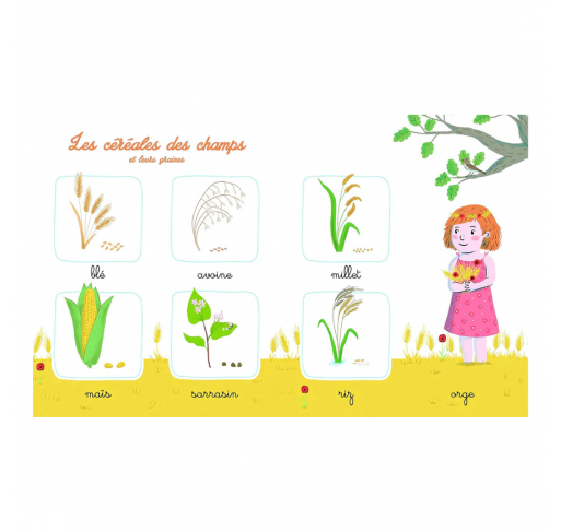 Mon Imagier de la Nature Montessori | Edunova Maroc