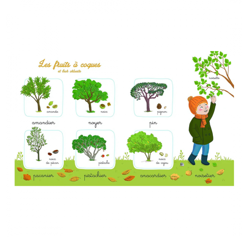 Mon Imagier de la Nature Montessori | Edunova Maroc