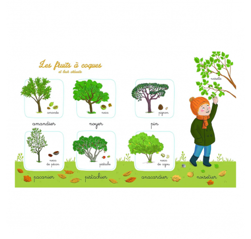 Mon Imagier de la Nature Montessori | Edunova Maroc