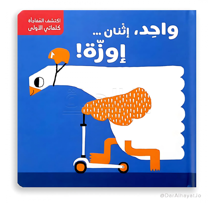 Série "découvrez la Surprise" : les Chiffres (arabe ) - Livres et histoires | Edunova