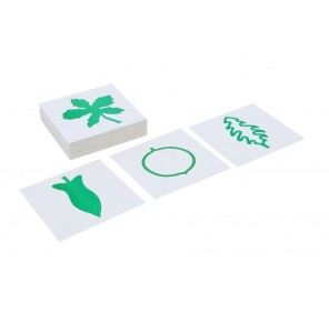 Cartes du cabinet de botanique