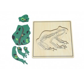 PUZZLE GRENOUILLE AVEC SQUELETTE