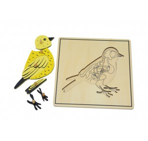 PUZZLE OISEAU AVEC SQUELETTE