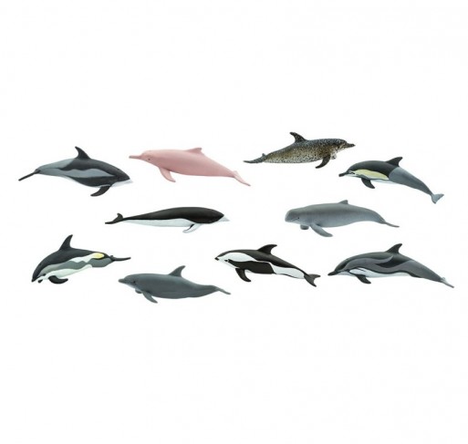 Tube Dauphins | Edunova Maroc