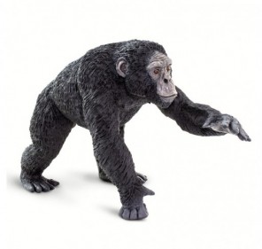 Chimpanzé