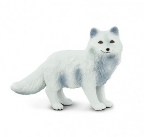 Renard polaire