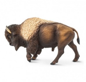 Bison