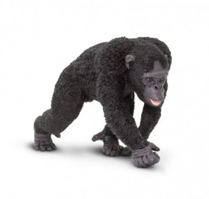 Chimpanzé