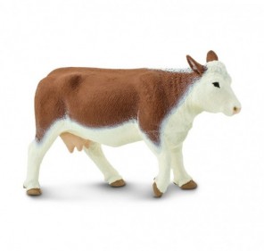 Vache hereford