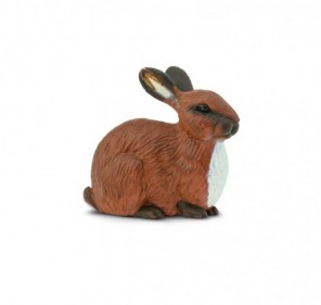 Lapin