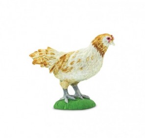 Poule Ameraucana