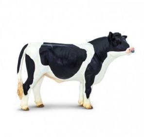 Taureau Holstein