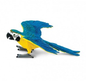 Oiseau Ara Bleu et Or