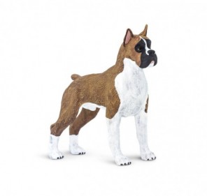 Chien Boxer