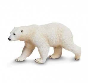 Ours polaire