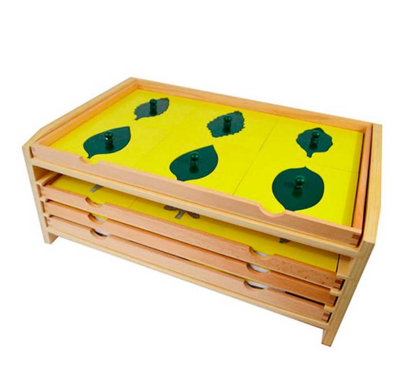 Cabinet de Botanique 24 Formes | Edunova Maroc