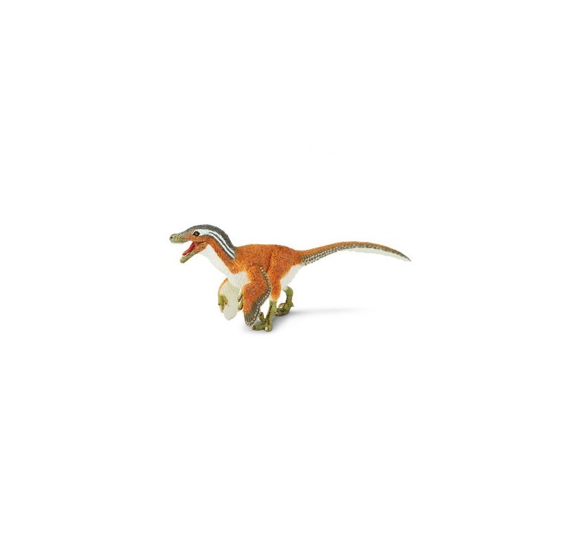 Vélociraptor À Plumes | Edunova Maroc