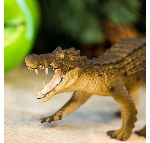 Kaprosuchus | Edunova Maroc