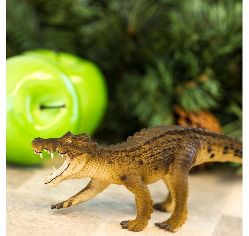 Kaprosuchus | Edunova Maroc