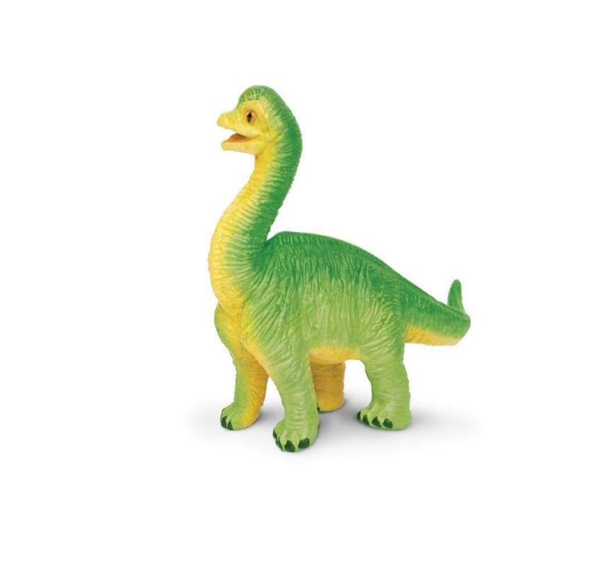 Bébé Brachiosaure | Edunova Maroc