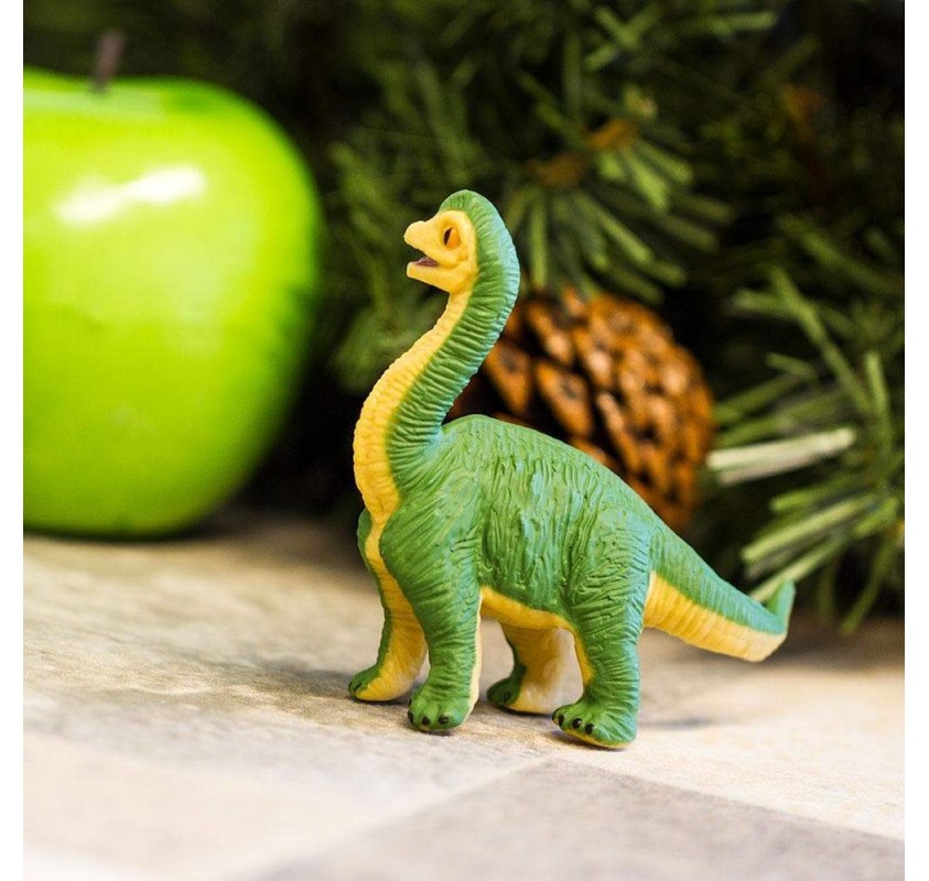 Bébé Brachiosaure | Edunova Maroc