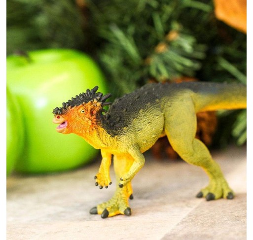 Dracorex | Edunova Maroc