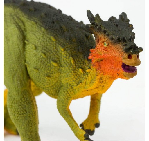 Dracorex | Edunova Maroc