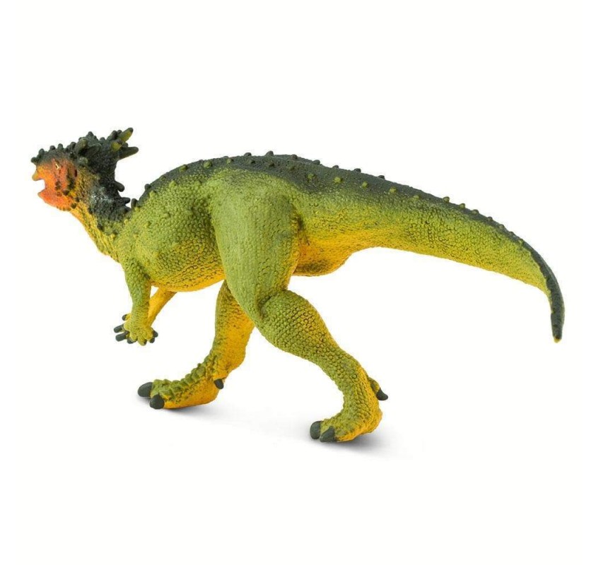 Dracorex | Edunova Maroc
