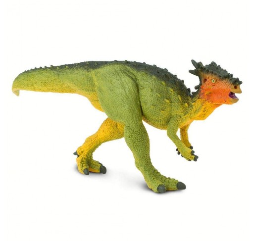 Dracorex | Edunova Maroc