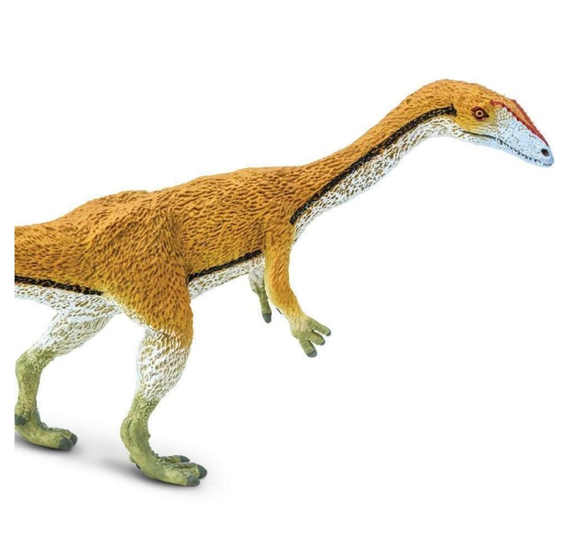 Coelophysis | Edunova Maroc