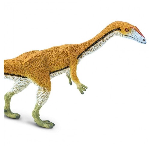 Coelophysis | Edunova Maroc