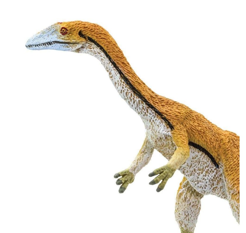 Coelophysis | Edunova Maroc