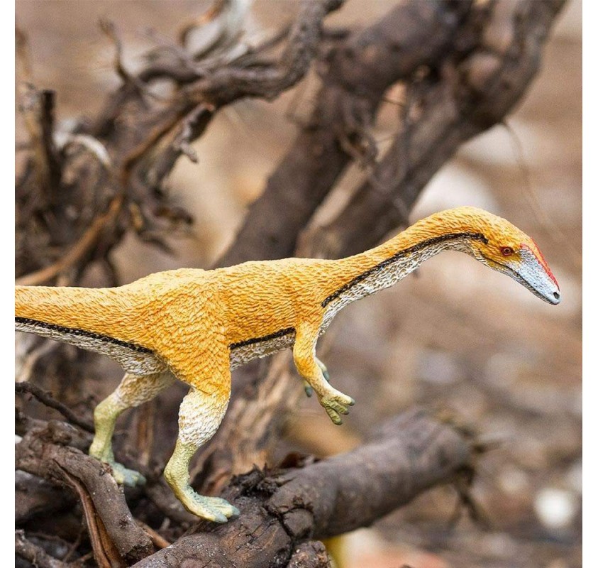 Coelophysis | Edunova Maroc