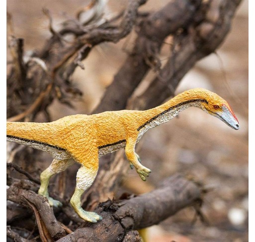 Coelophysis | Edunova Maroc