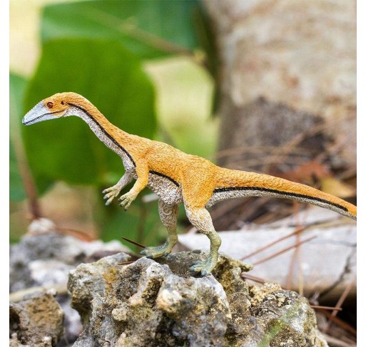 Coelophysis | Edunova Maroc