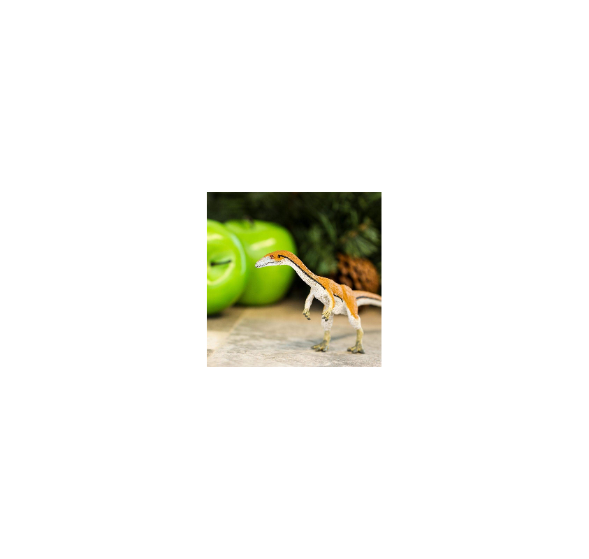 Coelophysis | Edunova Maroc