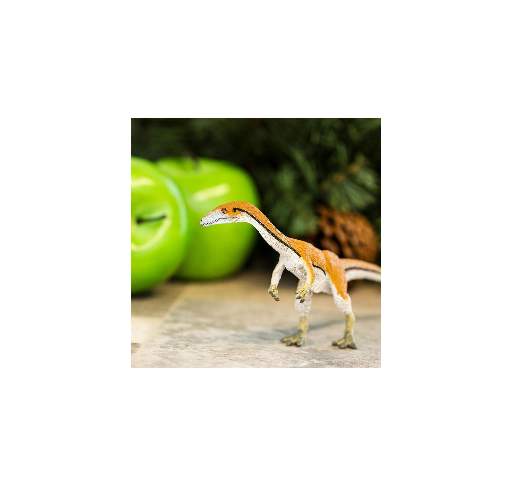 Coelophysis | Edunova Maroc