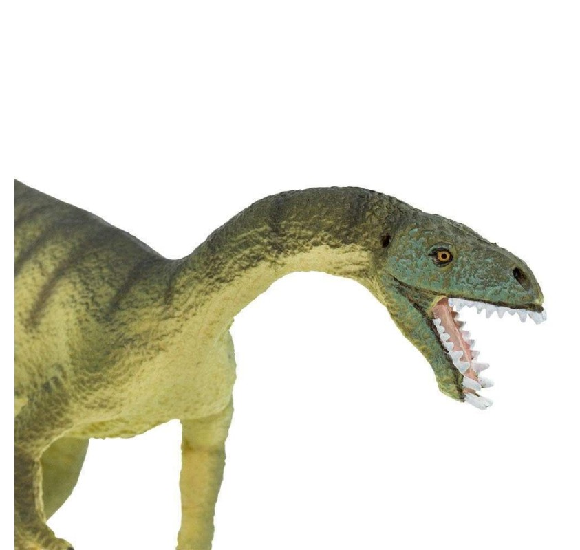Masiakasaurus | Edunova Maroc
