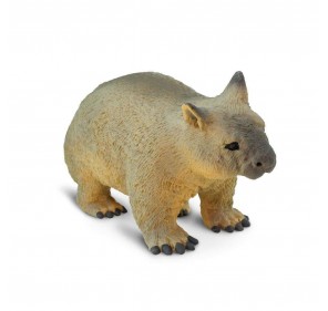 Wombat