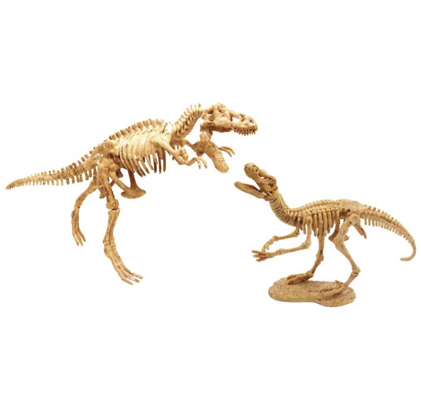 Dino Dig | Edunova Maroc